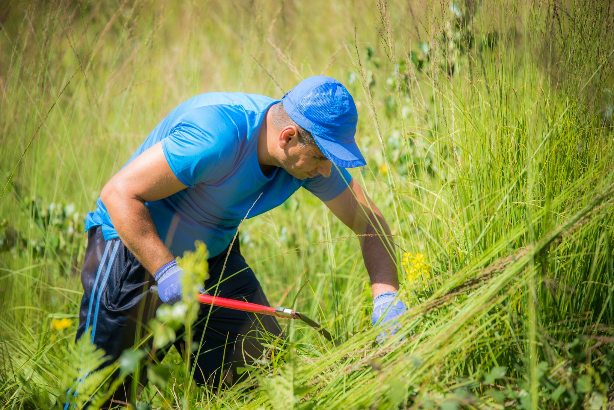 Arpasu Cort Preview 1